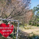 마장지 공중화장실 이미지