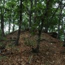 웅담3리 이미지