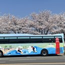 주식회사 동네봄 네이버블로그