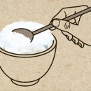 모자백반 이미지