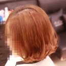 바디 스타일리스트 이미지