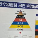 슈퍼스타 스위밍 영종 이미지