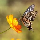 데생&수채화 이미지