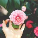 백조 미용실 이미지