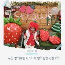 누나농장 | 논산 딸기체험농장 키즈카페 딸기농장 방문후기