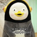 이마고 이미지