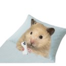 누구나홀딱반한닭 연남점 이미지