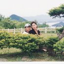 혜인당 Daum카페