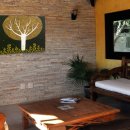 황금나무 이미지