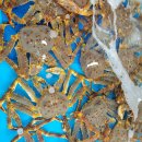 호남청과 이미지