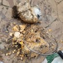 수원-0482 이미지