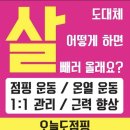 오늘도점핑 - 원주시 | 오늘도점핑
