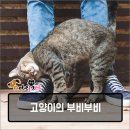 말랑말랑 이미지
