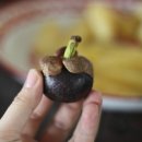 사촌농장 이미지