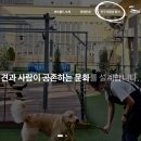 월드애견미용실 이미지