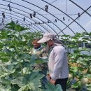 진천군농업기술센터 이미지