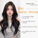 re:born 리본헤어
