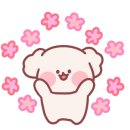 씻고놀개 이미지