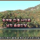 김순자 - 9006 | 김순자