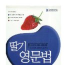 [문법] 딸기 영문법 (탁월 출판사) 이미지