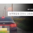 논두렁 내비 정체는 티맵 이미지