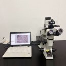 올림푸스 이미지