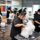 한국펫고등학교 이미지