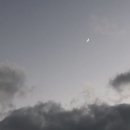 밥 퍼주는 남자 이미지