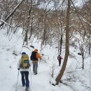 1월24일 수요일 눈산행갑니다... (당당고무님 공지) 사진후기 이미지