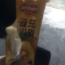 마시젤라아이스크림