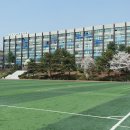 신정여상 이미지