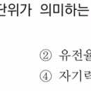 우비(WB) 이미지