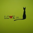 웨스턴 동물의료센터 이미지