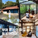 들꽃스테이 | 국내 촌캉스 숙소 추천 :: 충남 부여 들꽃 스테이 후기