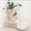 풀향기머무는집 | 인테리어 살려주는 멜로우 디퓨저 화장실 방향제 추천 ^^