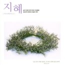 위와이즈