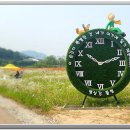 나주 영산강 들섬 꽃밭에서... 이미지