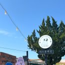 우리집 댕댕이 | 김포 천연잔디 애견 운동장 카페 | 우리집 댕댕이 (후추) 랑 [개으른세상] 에서 카페데이트 제대로 한 후기