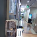 과천대로 이미지