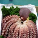 승리수산 이미지