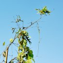 한마당학원 이미지