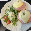 피키 | [대전] 크리스마스 트리가 예뻤던 브런치 카페 피키페어(Picky pair) 내돈내산 솔직후기