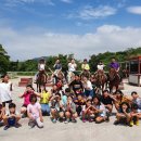 동신파이디온 이미지