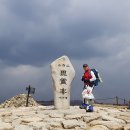 영주순흥민박 이미지