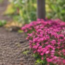 하남체육공원 이미지