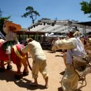 우리가락 한마당 발표회 이미지