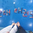 오태태권도장 이미지