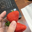 효근농장 이미지