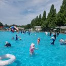 신정호야외수영장 | 2025 신정호 야외수영장 일요일오픈런 후기