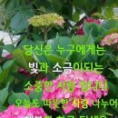 행복한하루
